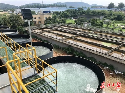 九峰明渠臨時(shí)污水處理設(shè)施高效運(yùn)行，顯著削減入東湖污水量