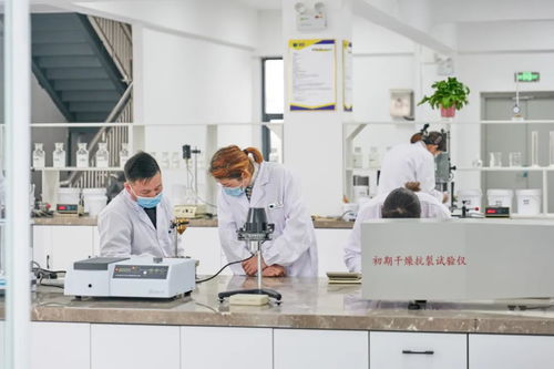 北方仿石漆龍頭 以技術(shù)筑基，筑價值壁壘