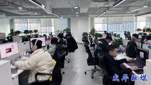 出海升級，攻堅克難 成都成華科技企業(yè)開啟2026沖刺模式